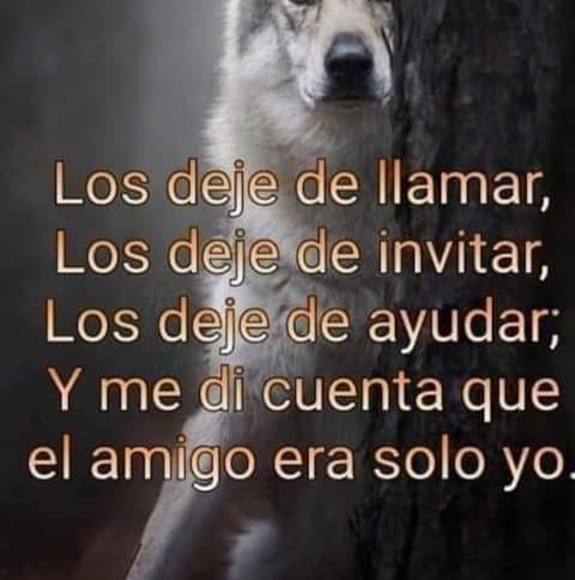 yefripaniagua